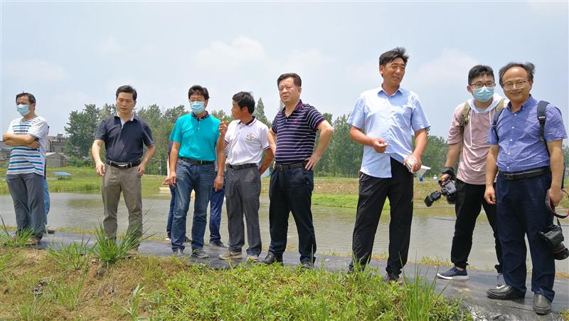 华中农大园艺林学学院汪李平教授正在指导无土栽培生产 徐行 摄