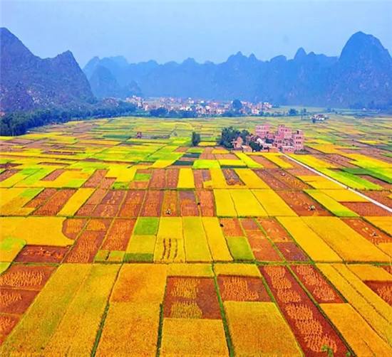 东阳市歌山镇大里村