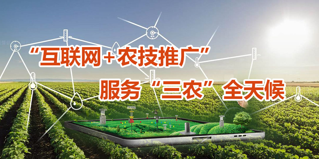 中国农技推广信息平台