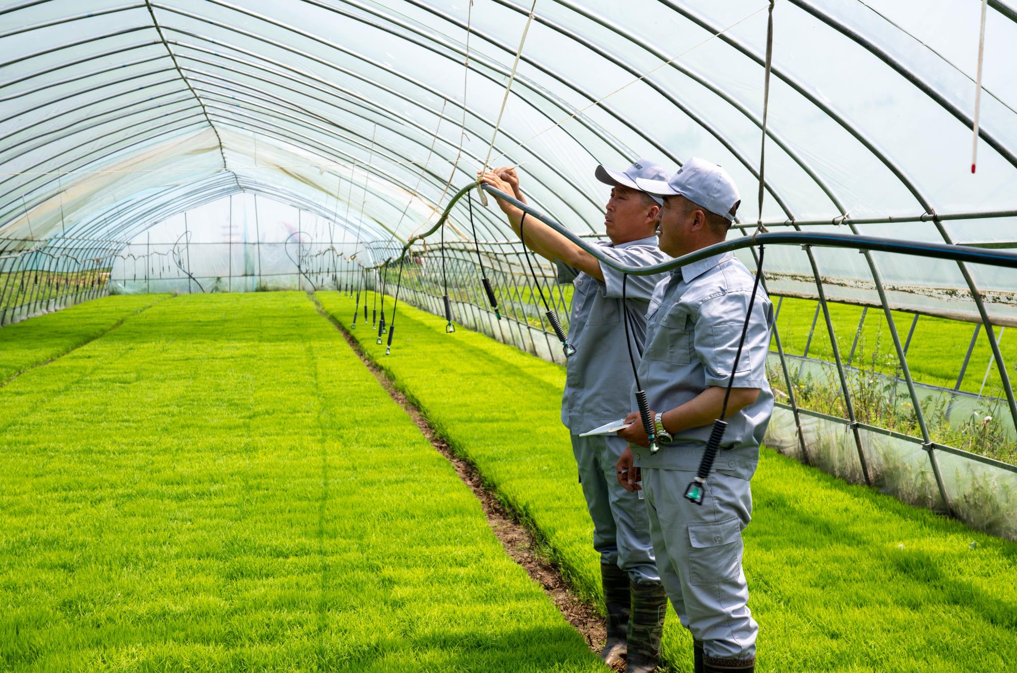 中国农业社会化服务平台